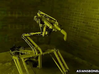 171 trimmed pussy porn videos